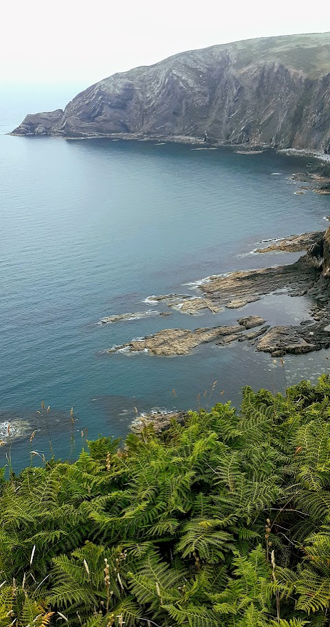 Pembrokeshire coastline