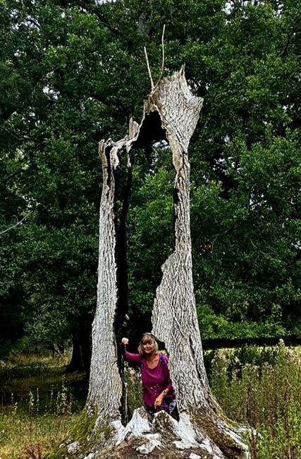 Description of image 2