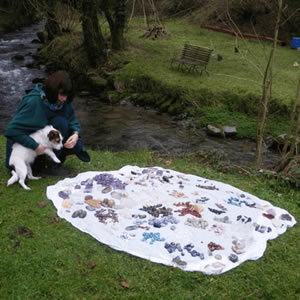 Description of image 5